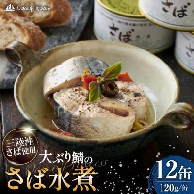 ふるさと納税 気仙沼市 OceanPrincess 大ぶり鯖のさば缶 12缶 セット 水煮[モンマルシェ 20565067]