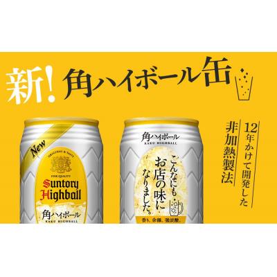 ふるさと納税 栃木市 【定期便3ヵ月コース】〈サントリー〉角ハイボール 350ml缶×24本(1ケース) |  | 01