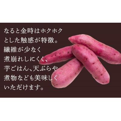 ふるさと納税 徳島市 なると金時「甘姫」 約5kg 新芋 7月下旬から順次発送【FL001VC01】の画像