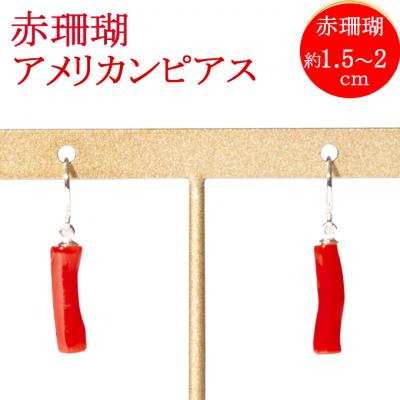 ふるさと納税 室戸市 [特級]室戸産赤サンゴ 枝[K14W6アメリカンピアス]