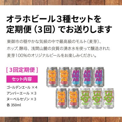 ふるさと納税 東御市 [3回定期便]オラホビール3種飲み比べ10本セット