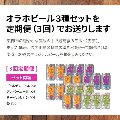 ふるさと納税 東御市 [3回定期便]クラフトビール3種飲み比べ20本セット