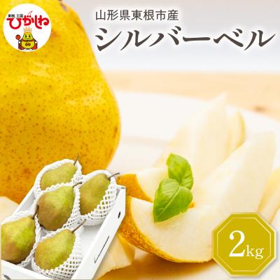 ふるさと納税 東根市 [令和7年産 先行受付] シルバーベル 2kg 山形県 東根農産センター提供 hi027-200-2