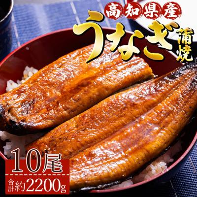 ふるさと納税 香南市 うなぎ蒲焼 約220g10尾 高知県産鰻 養殖 鰻蒲焼 ss-0037