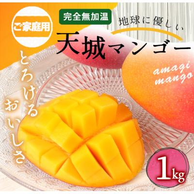 ふるさと納税 天城町 [2026年発送][数量限定]徳之島 天城町産 完全無加温 完熟 マンゴー 家庭用 1kg