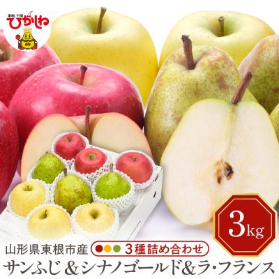 ふるさと納税 東根市 [2026年産]サンふじ&amp;シナノゴールド&amp;ラフランス 詰め合わせ 3kg hi027-212-r8