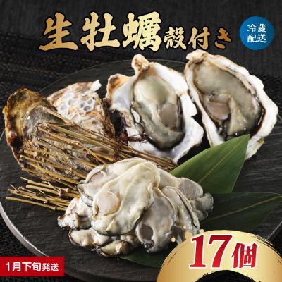ふるさと納税 呉市 [2026年1月下旬発送]ナバラ水産 生牡蠣 殻付き 17個 ku001-004-01-3-25