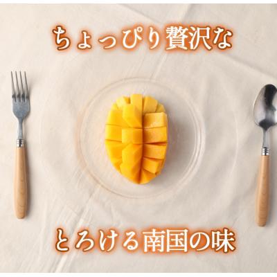 ふるさと納税 天城町 【2026年送りとどける】【先んずる受け付け】徳之島 天城町産 島マンゴー園 生まれ育つ マンゴー A品 2kg