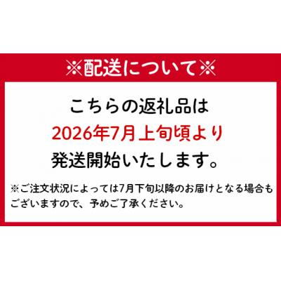 ふるさと納税 天城町 【2026年送りとどける】【先んずる受け付け】徳之島 天城町産 島マンゴー園 生まれ育つ マンゴー A品 2kg