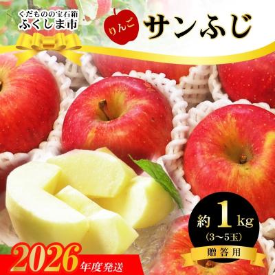 ふるさと納税 福島市 ふくしまのサンふじりんご 約1kg 【2026年度発送