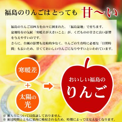 ふるさと納税 福島市 ふくしまのサンふじりんご 約1kg 【2026年度発送
