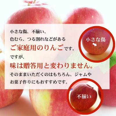 ふるさと納税 福島市  サンふじりんご 訳あり ご家庭用　約4.5kg【2026年度発送】No.2773 |  | 01
