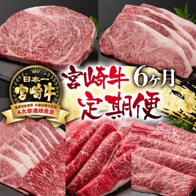 ふるさと納税 西都市 内閣総理大臣賞4連覇!宮崎牛6ヶ月定期便 A4〜A5等級ステーキ・焼肉・すき焼きスライス[2419]