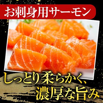 ふるさと納税 根室市 トラウトサーモン2〜5本\u0026鮭とば100g×9P F-09026_1