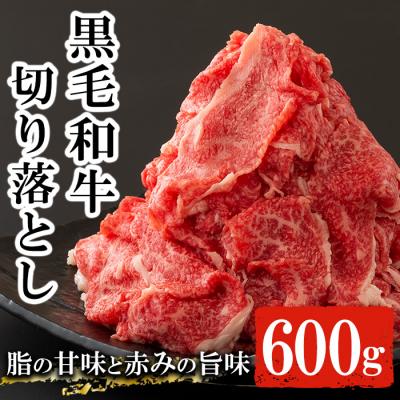 ふるさと納税 いちき串木野市 鹿児島尾崎牧場産黒毛和牛切り落とし 約600g(300g×2P)