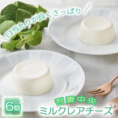 ふるさと納税 東吾妻町 吾妻中央ミルク レアチーズ 6個セット