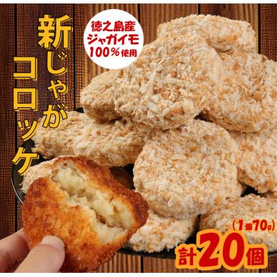 ふるさと納税 天城町 徳之島 天城町 徳之島産 新じゃがコロッケ 計20個(10個入り×2袋)