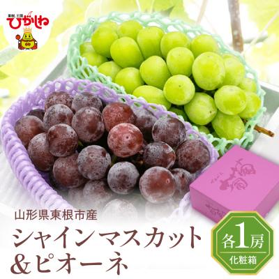 ふるさと納税 東根市 2026年ぶどう「シャインマスカット&amp;ピオーネ 」各1房(計2房 約1.2kg) hi027-236