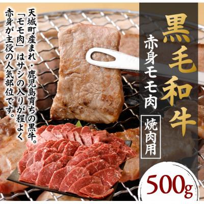 ふるさと納税 天城町 徳之島 天城町 鹿児島黒毛和牛 赤身 モモ肉 焼肉用 500g 国産 牛肉 もも肉