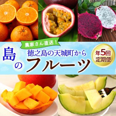 ふるさと納税 天城町 [年5回発送]徳之島 天城町 島のフルーツ 定期便 タンカン パッションフルーツ マンゴー