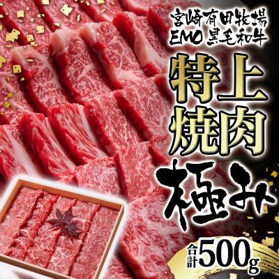 ふるさと納税 西都市 [宮崎有田牧場]黒毛和牛 特上焼肉セット500g 宮崎EMO牛肉[2822]