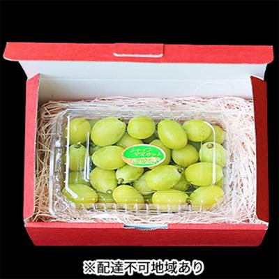ふるさと納税 赤磐市 早期受付 シャイン マスカット 1パック(750g以上) 桃茂実苑 [NO5765-0997]