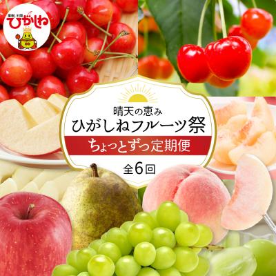 ふるさと納税 東根市 [2026年産先行予約]ひがしねフルーツ祭 ちょっとずつ定期便!全6回(2026年6月からスタート)