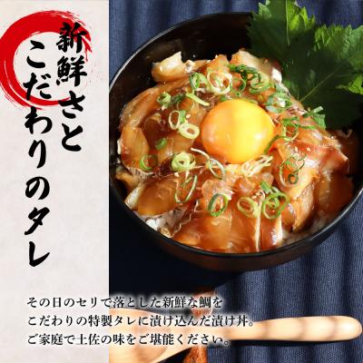 ふるさと納税 田野町 これが魚屋の漬け丼だ! 〜鯛〜 80g×5P ★訳あり★ |  | 01