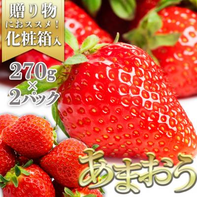ふるさと納税 小郡市 あまおう 生まれも育ちも福岡県 イチゴ界の王道!ギフトにおすすめ 2p[No5354-0485]