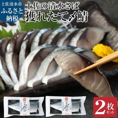 ふるさと納税 土佐清水市 獲れたて土佐の清水さば 〆鯖2枚セット(ブランドゴマサバ・1枚約170〜210g)[R00278]
