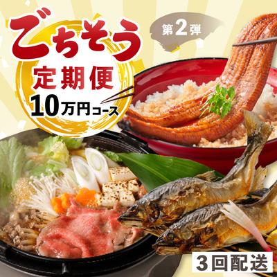 ふるさと納税 四万十市 [3回定期便]うなぎ・四万十牛・あゆ!ごちそう定期便10万円コース[第2弾]