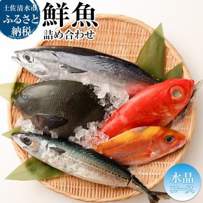 ふるさと納税 土佐清水市 おまかせ!季節の鮮魚 お楽しみセット(2万円水晶コース)食べ比べ 天然魚 魚介 海鮮[R01215]