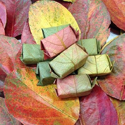 ふるさと納税 吉野町 [定期便 2回]柿の葉すし季節のお届け (5月中旬・11月中旬お届け)