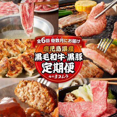 ふるさと納税 鹿児島市 [全6回]「肉のヨコムラ」鹿児島県産 黒毛和牛・黒豚 定期便(奇数月にお届け) K189-T01