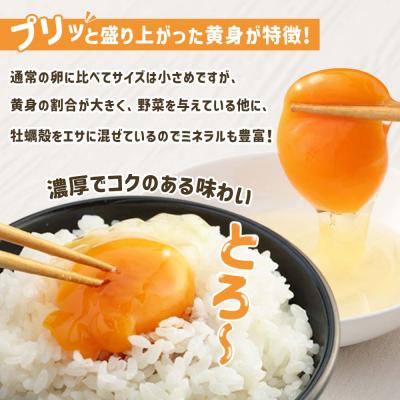 ふるさと納税 土佐清水市 土佐ジローの卵 定期便(12個入り×6回)もみ殻梱包 ブランド卵 タマゴ たまご【J00024】_1