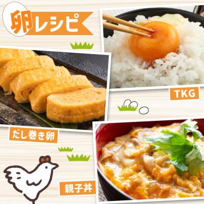 ふるさと納税 土佐清水市 土佐ジローの卵 定期便(12個入り×6回)もみ殻梱包 ブランド卵 タマゴ たまご【J00024】_2