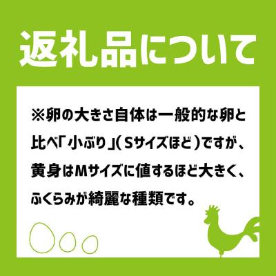 ふるさと納税 土佐清水市 土佐ジローの卵 定期便(12個入り×6回)もみ殻梱包 ブランド卵 タマゴ たまご【J00024】_3
