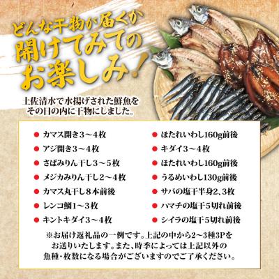 ふるさと納税 土佐清水市 【お試し 干物セット】季節の魚入り 干物詰め合わせセット 2〜3種類【乾物・ギフト対応】R00795 |  | 01