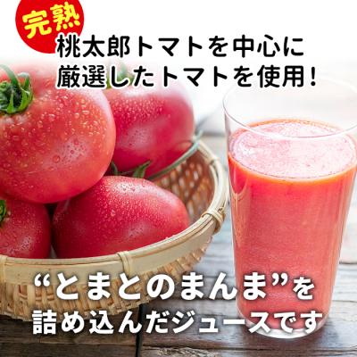 ふるさと納税 東白川村 無塩 とまとのまんま 大ビン 12本 720ml トマトジュース |  | 01