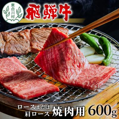 ふるさと納税 東白川村 飛騨牛 ロースまたは肩ロース 焼肉用 600g
