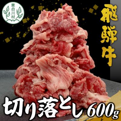 ふるさと納税 東白川村 飛騨牛 切り落とし 肉 600g