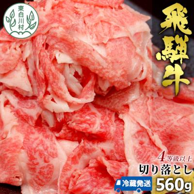 ふるさと納税 東白川村 飛騨牛 4等級以上 切り落とし 肉 560g