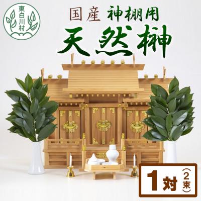 ふるさと納税 東白川村 神棚用 国産榊 2束