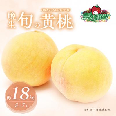 ふるさと納税 赤磐市 桃 2026年 先行受付 晩生の旬の 黄桃 約1.8kg 5〜7玉 [NO5765-1008]