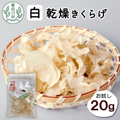 ふるさと納税 東白川村 東白川村産 乾燥 白いきくらげ ホール お試し20g