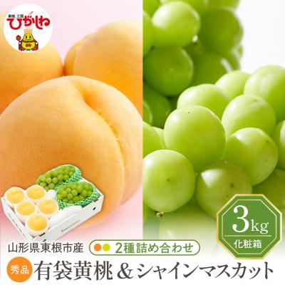 ふるさと納税 東根市 [2026年] 有袋黄桃(品種おまかせ)&amp;シャインマスカット 詰め合わせ 3kg hi027-239