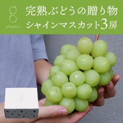 ふるさと納税 東御市 [先行受付2026年発送]完熟ぶどうの贈り物(シャインマスカット3房)|glasses farm