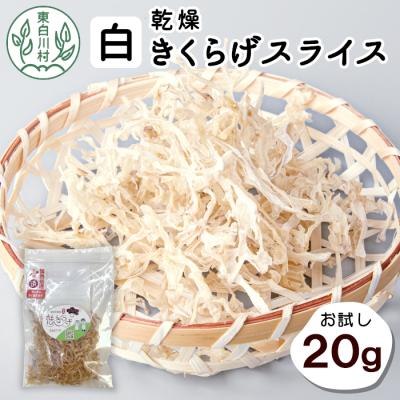 ふるさと納税 東白川村 東白川村産 乾燥 白いきくらげ スライス お試し20g