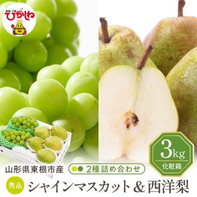 ふるさと納税 東根市 [2026年]東根市産 シャインマスカット&amp;西洋梨 詰め合わせ 3kg 秀品 hi027-242