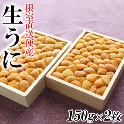 ふるさと納税 根室市 エゾバフンウニ150g×2折[11月中旬以降発送] F-40008 | 